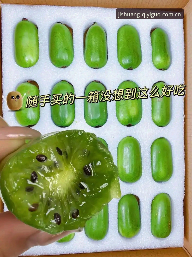 奇异果体育安卓版 奇异果体育安卓版功能深度解析与使用指南